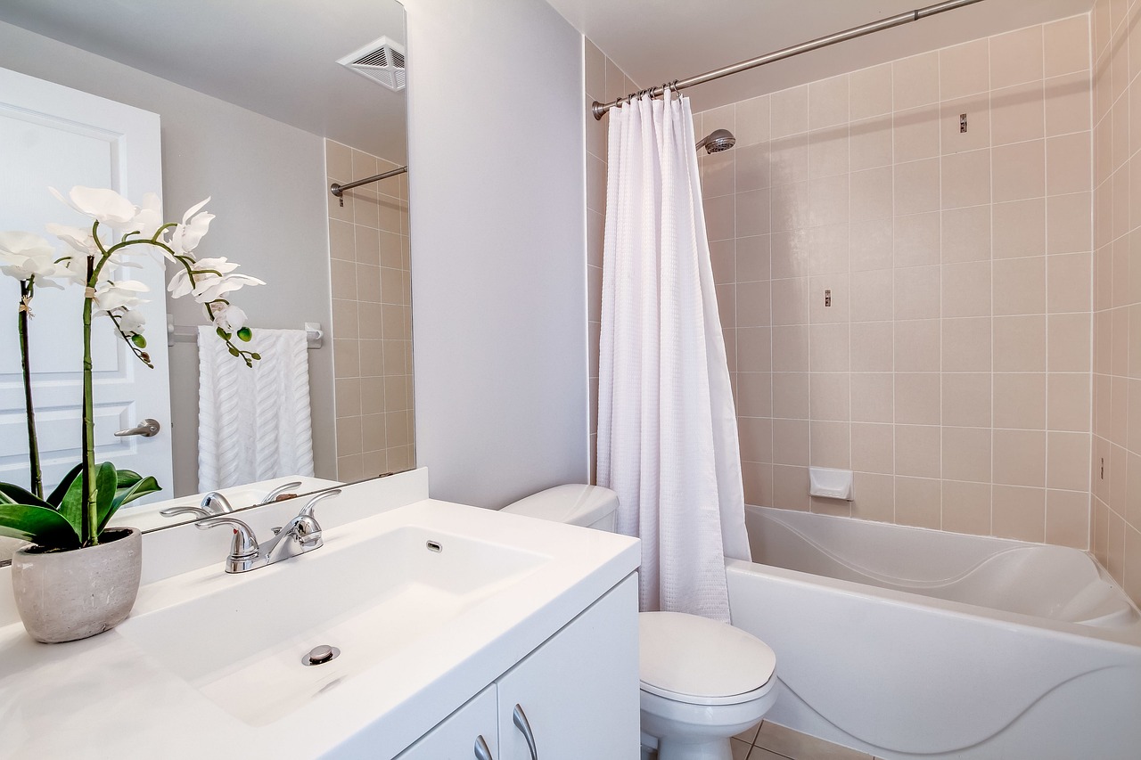 Revitalise Your Bathroom: condo, lakeshore, ontario-3499679.jpg